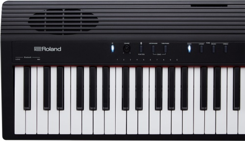 Roland GO-88P фото 7