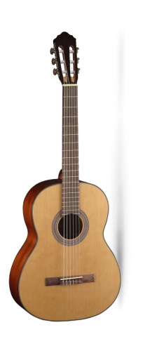 CORT AC200-NAT Classic Series